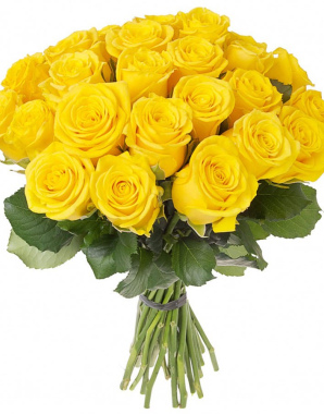 Роза Жёлтая 40-60 см от